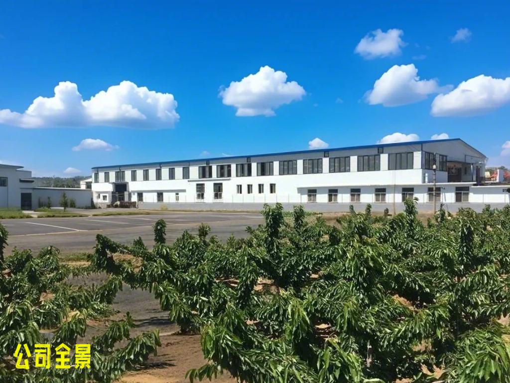 公司全景.jpg